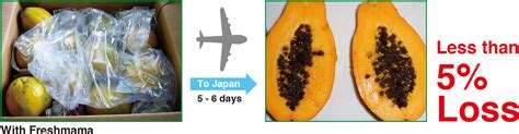 freshmama partners|Ethylene decomposition/excretion test Papaya demonstration test.